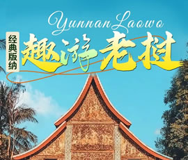 【趣游老撾 · 經(jīng)典版納】—昆明、普洱、西雙版納、磨丁、瑯勃拉邦四動(dòng)8日游